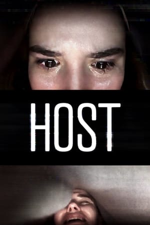 Host (2020) Hindi Dual Audio 720p WebRip [940MB]