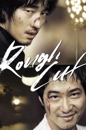 Rough Cut (2008) Hindi Dual Audio 480p BluRay 400MB