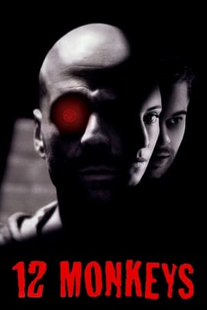 Twelve Monkeys (1995) Hindi Dual Audio Movie 1080p BluRay - 2.9GB